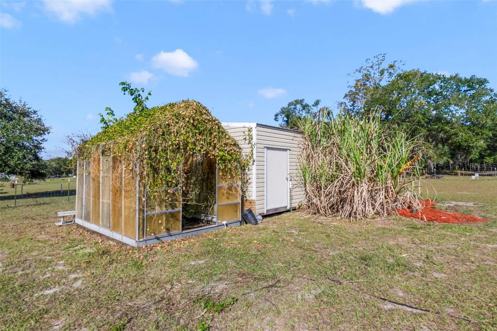 37041 N Thrill Hill Road Eustis FL 32736