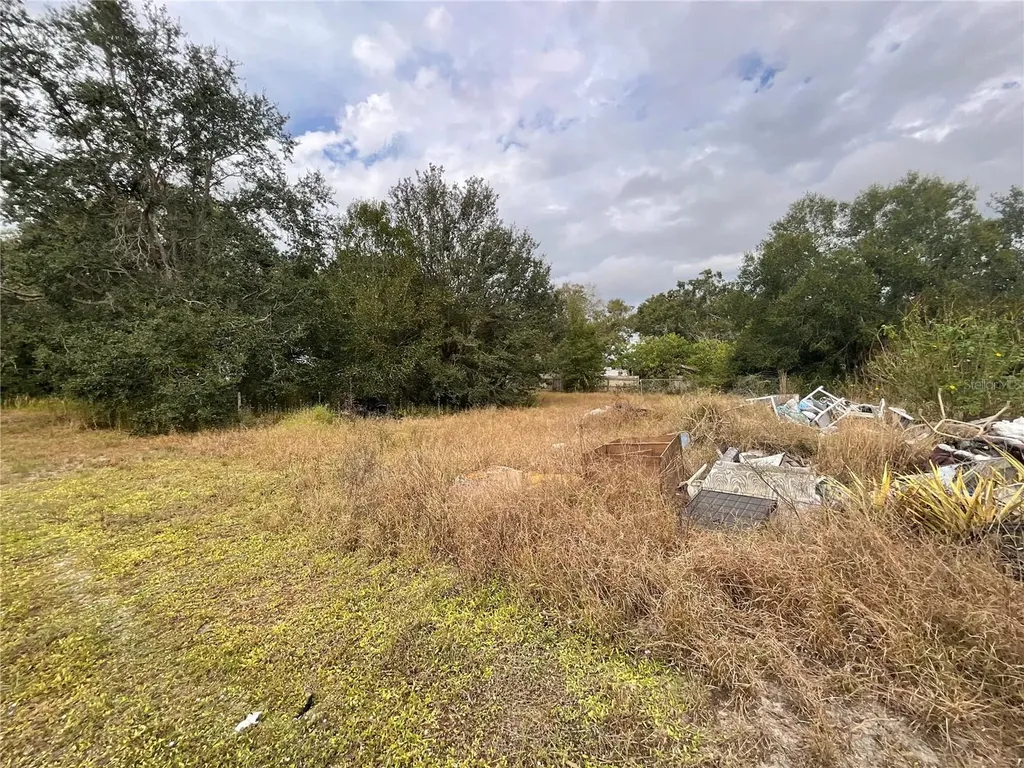 1701 Sanford Street Lake Wales FL 33859