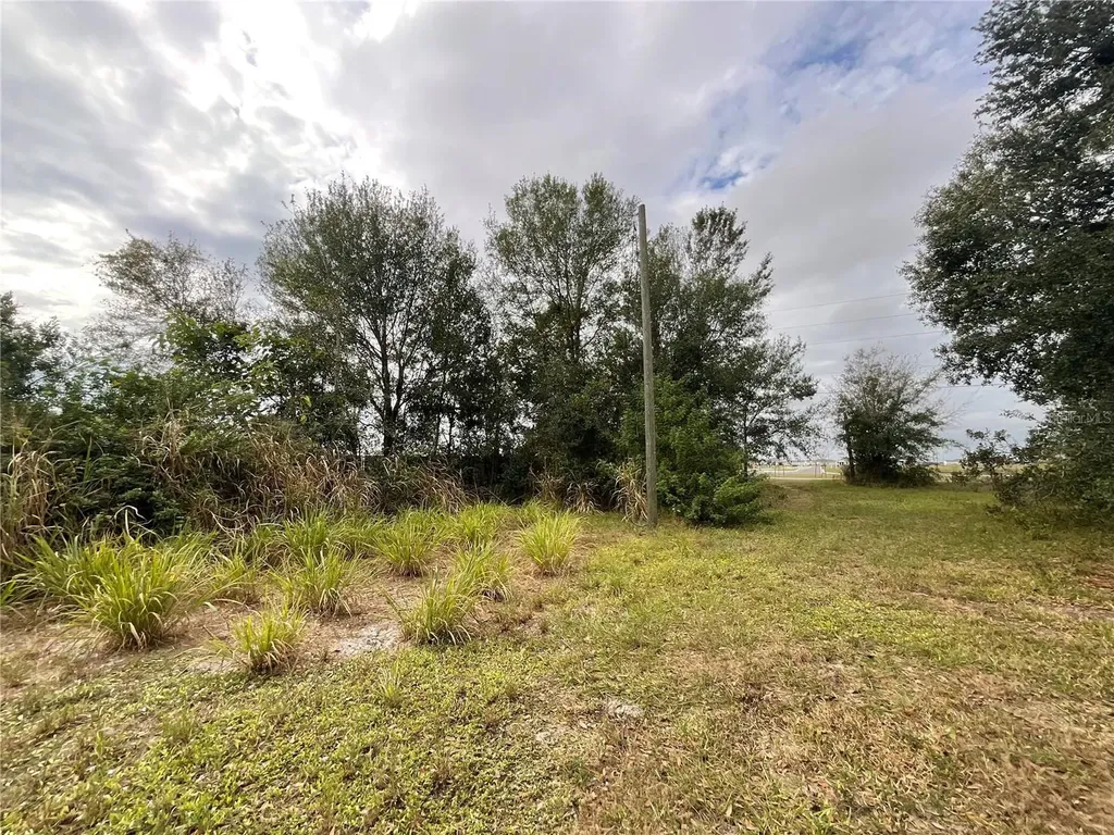 1701 Sanford Street Lake Wales FL 33859