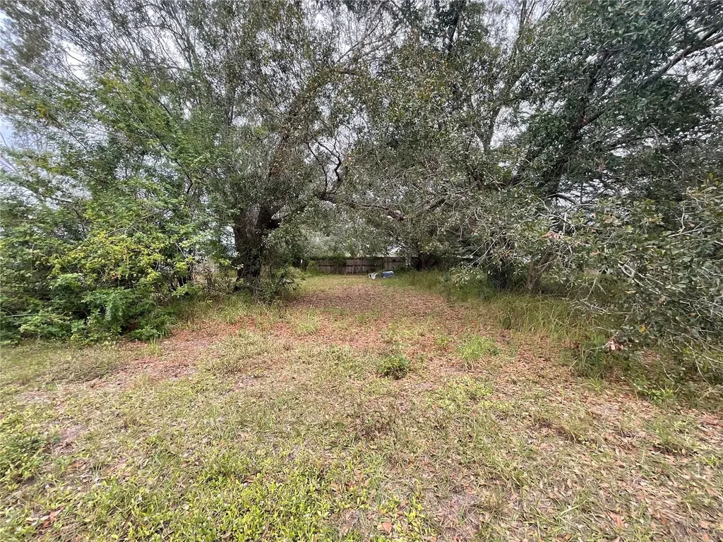 1701 Sanford Street Lake Wales FL 33859