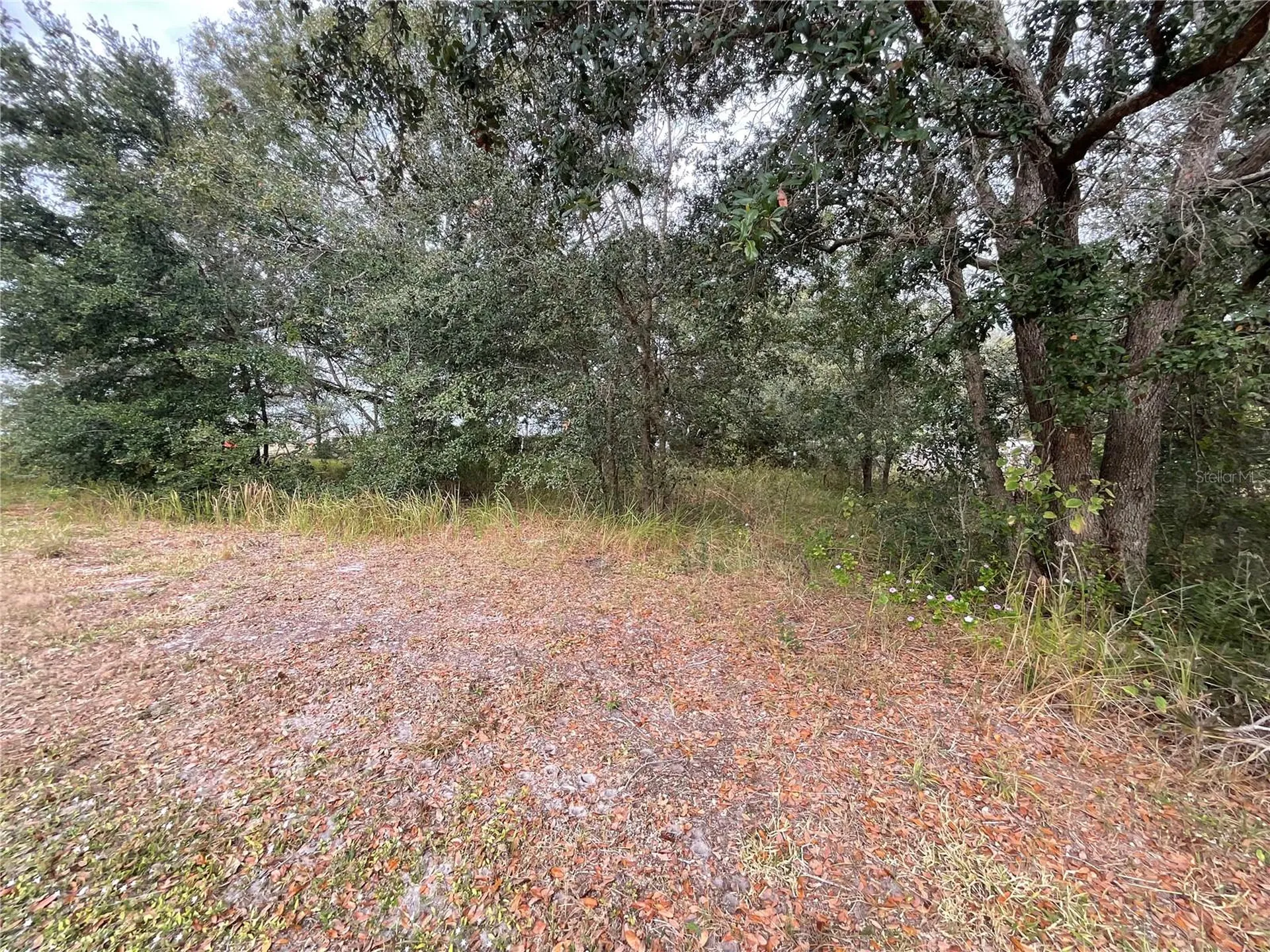 1701 Sanford Street Lake Wales FL 33859