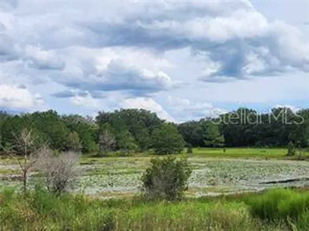 Orange Road Ocklawaha FL 32179