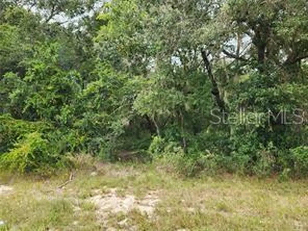Orange Road Ocklawaha FL 32179