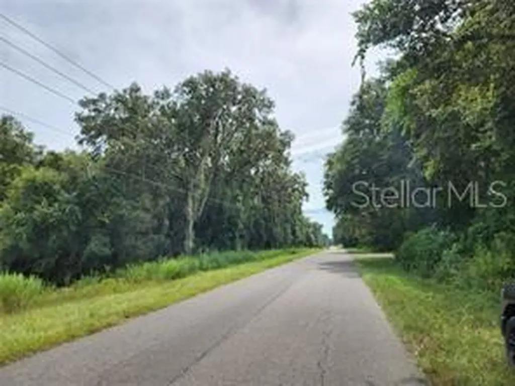 Orange Road Ocklawaha FL 32179