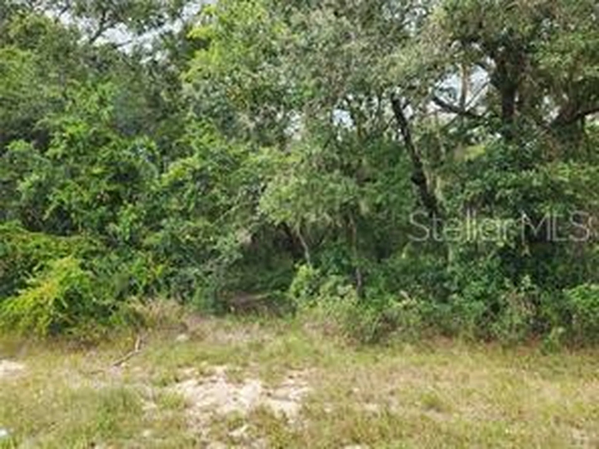 Orange Road Ocklawaha FL 32179
