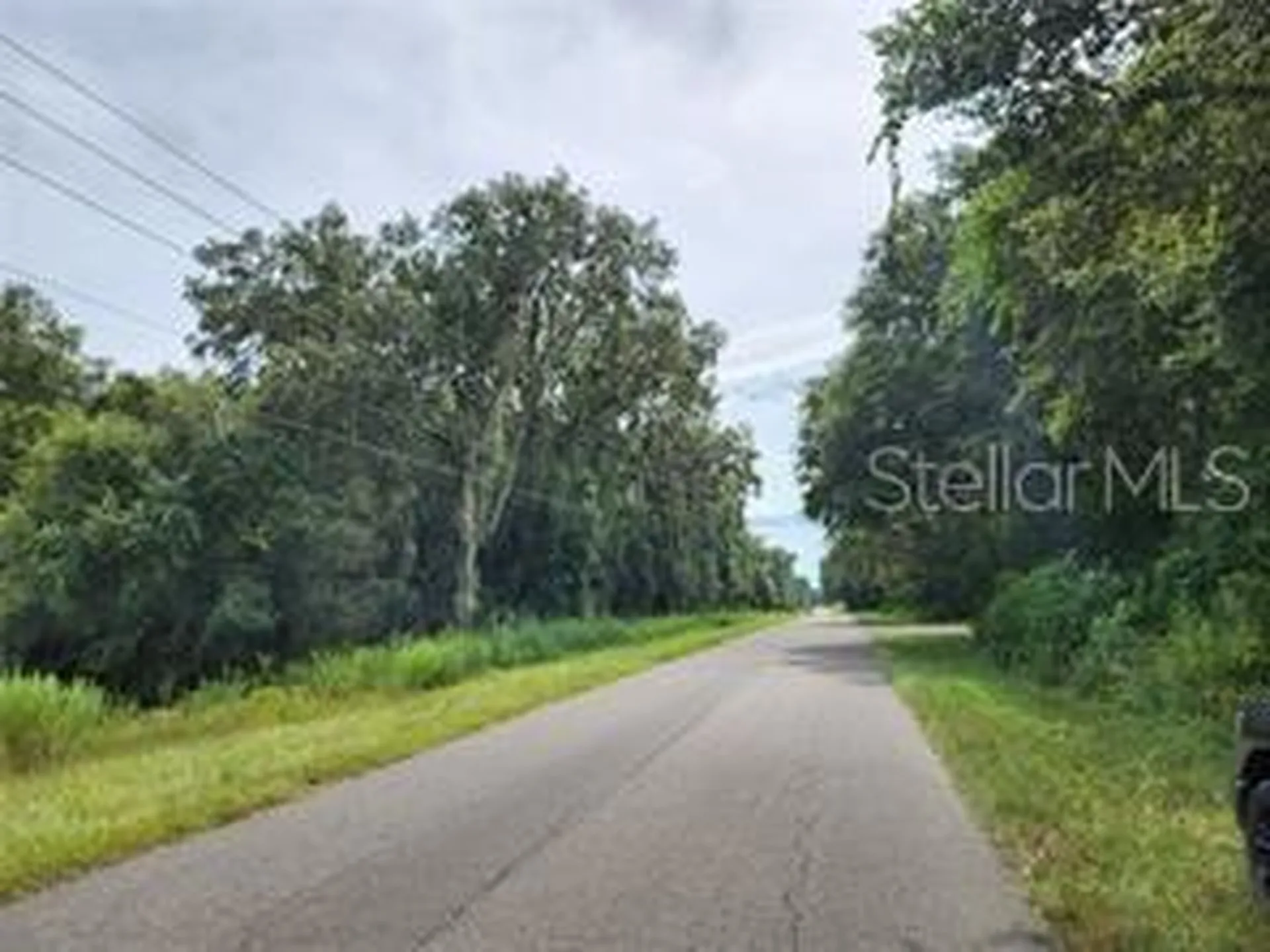 Orange Road Ocklawaha FL 32179