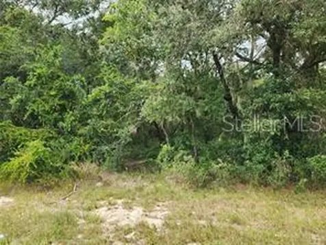 Orange Road Ocklawaha FL 32179