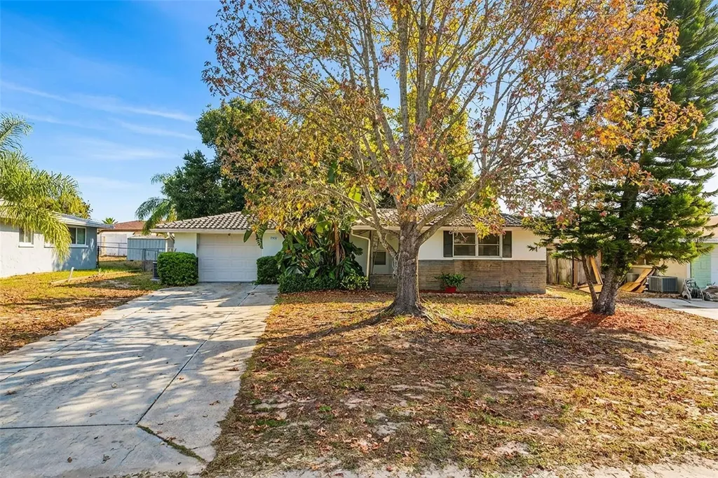 7931 Lotus Drive Port Richey FL 34668