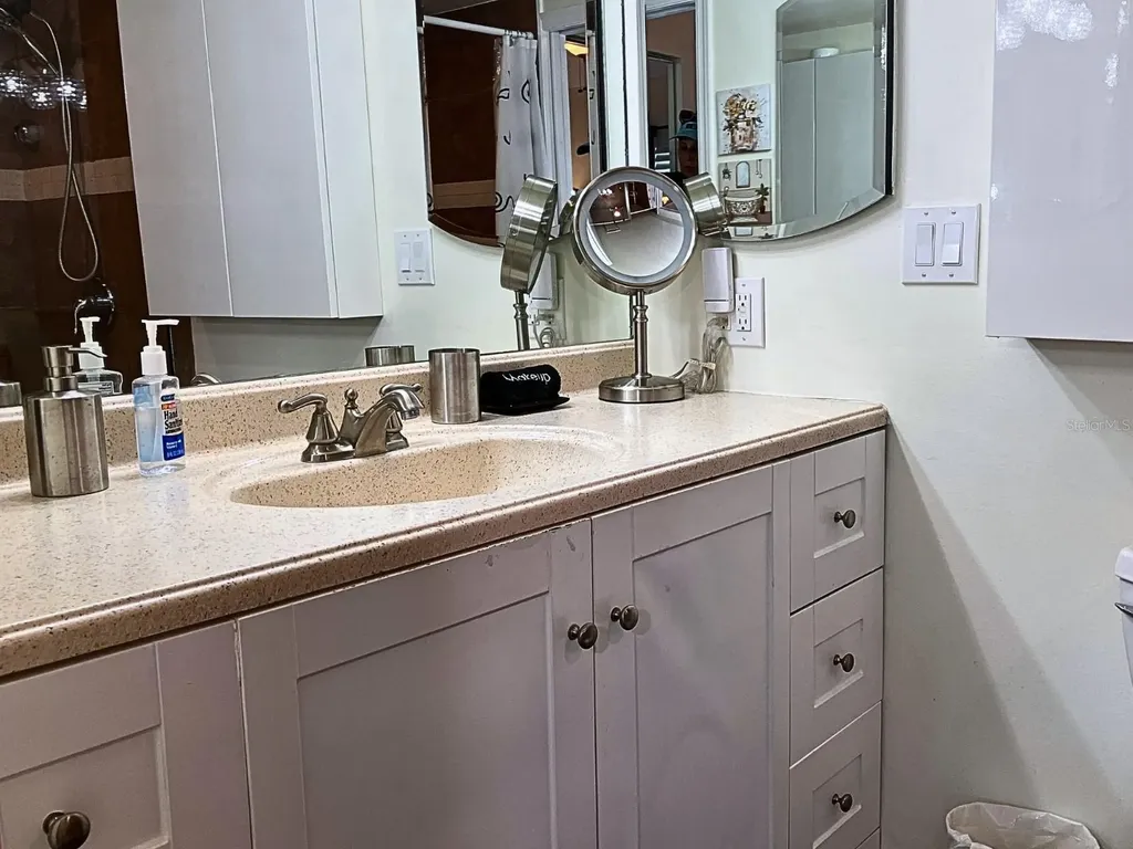 20921 Haulover Cove Lutz FL 33558