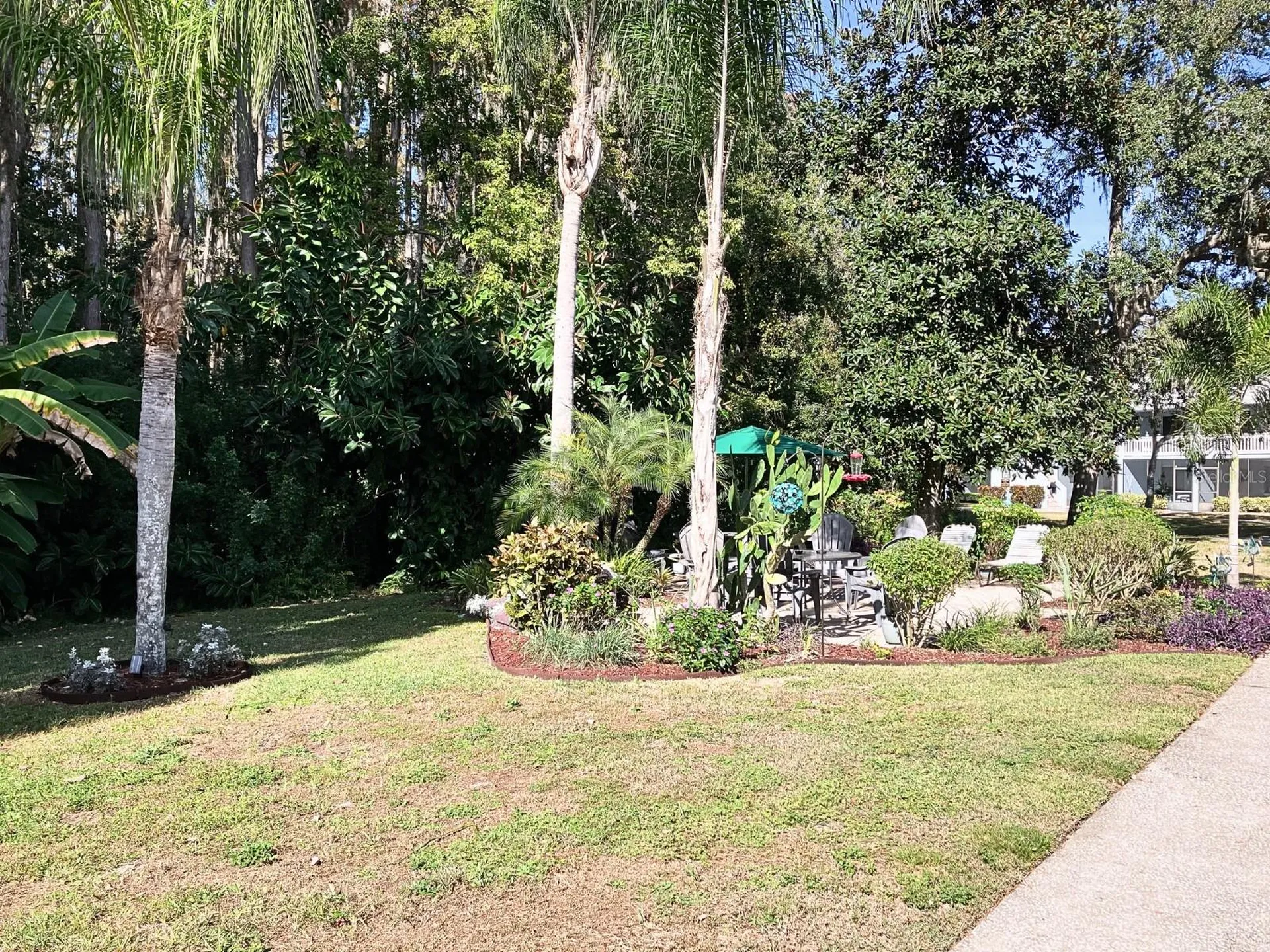 20921 Haulover Cove Lutz FL 33558