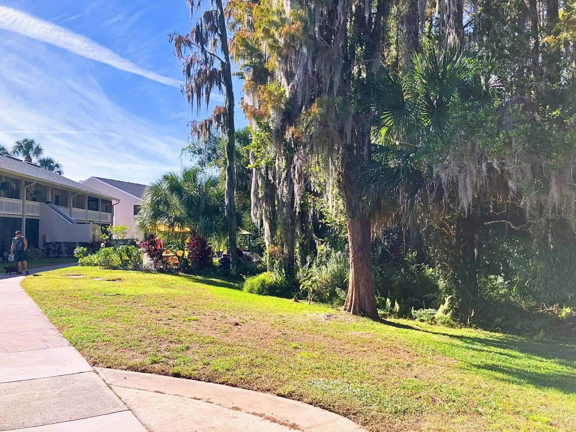20921 Haulover Cove Lutz FL 33558