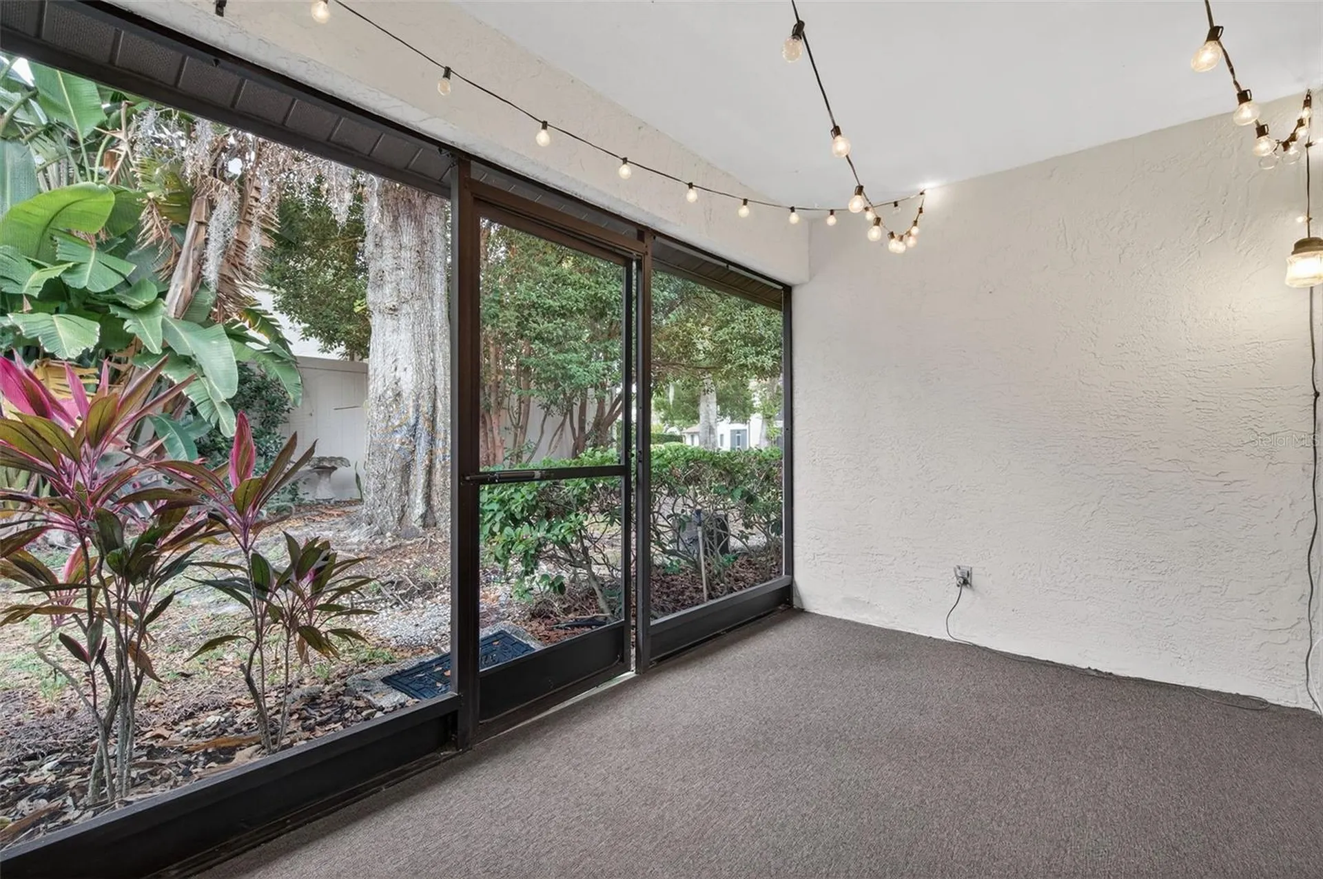 3581 Magnolia Ridge Circle Palm Harbor FL 34684