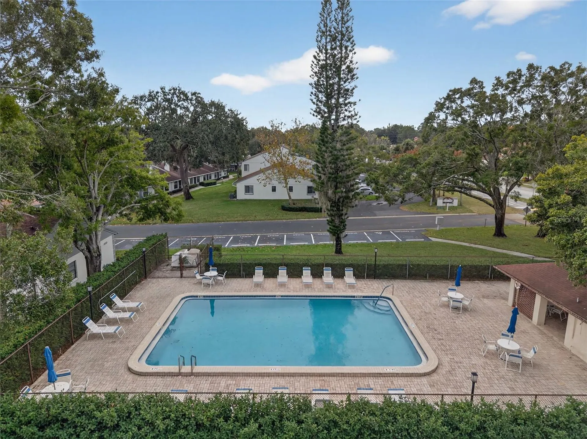 3581 Magnolia Ridge Circle Palm Harbor FL 34684