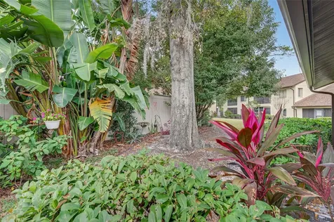 3581 Magnolia Ridge Circle Palm Harbor FL 34684