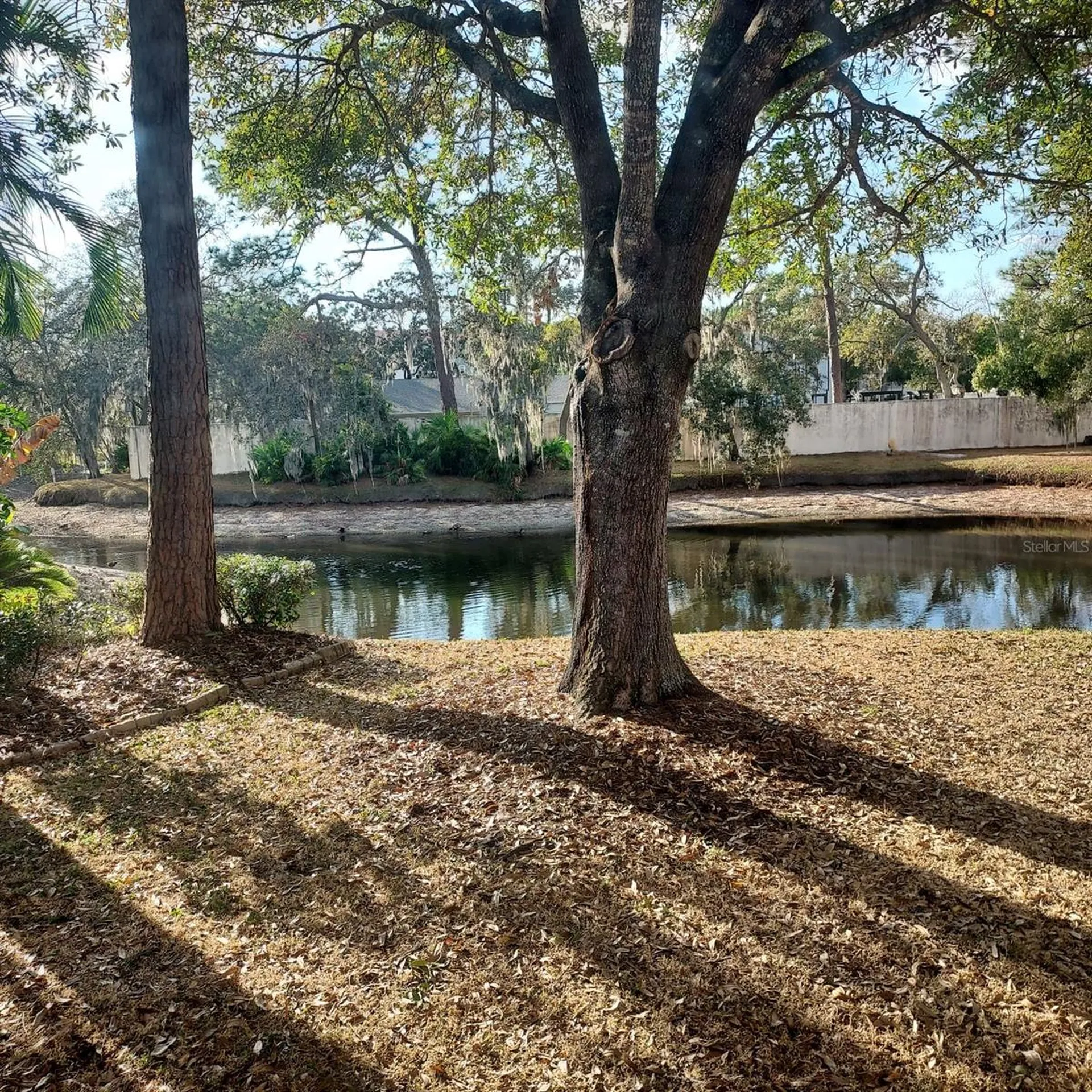 13804 Lazy Oak Drive Tampa FL 33613