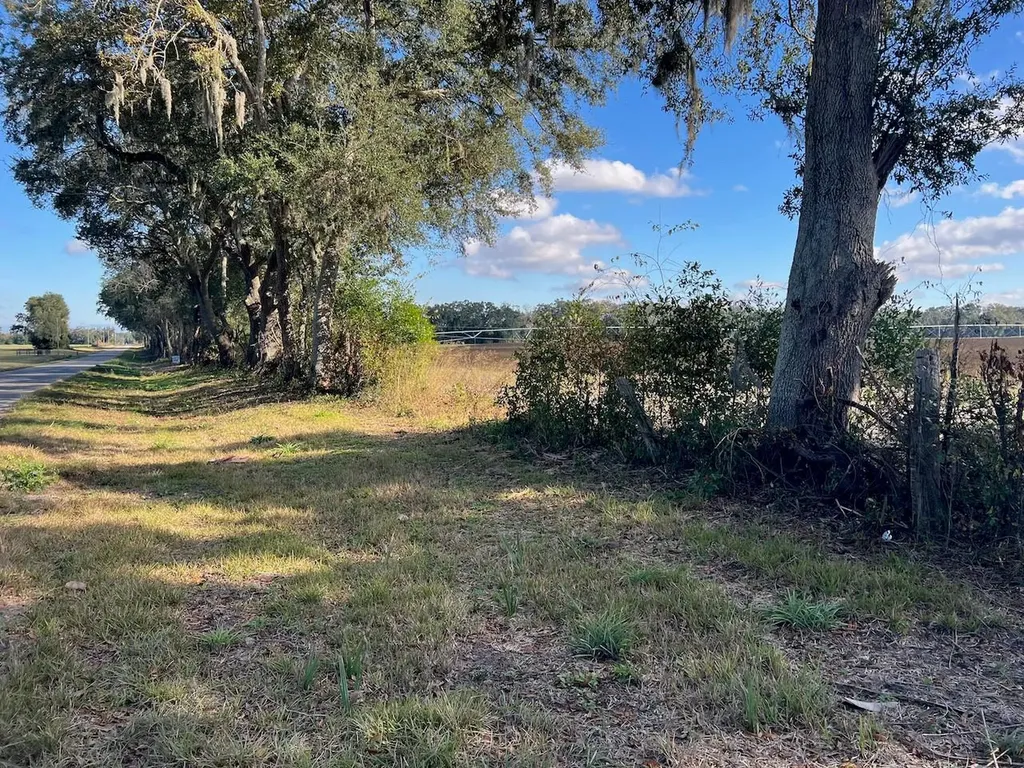 NE 150 Street Trenton FL 32693