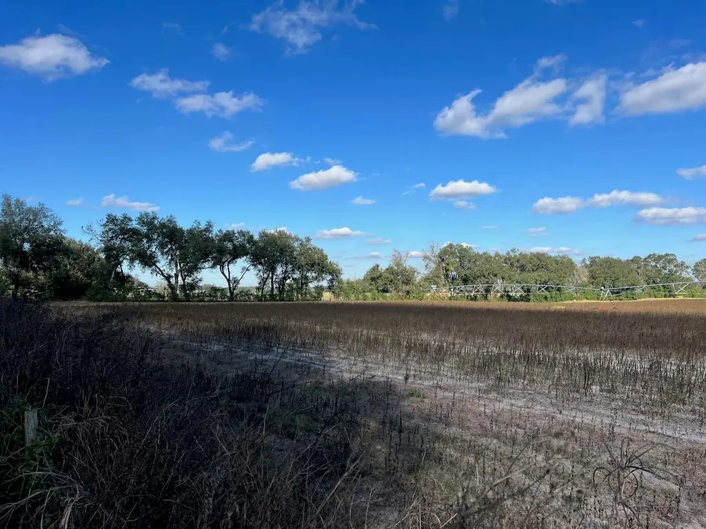 NE 150 Street Trenton FL 32693