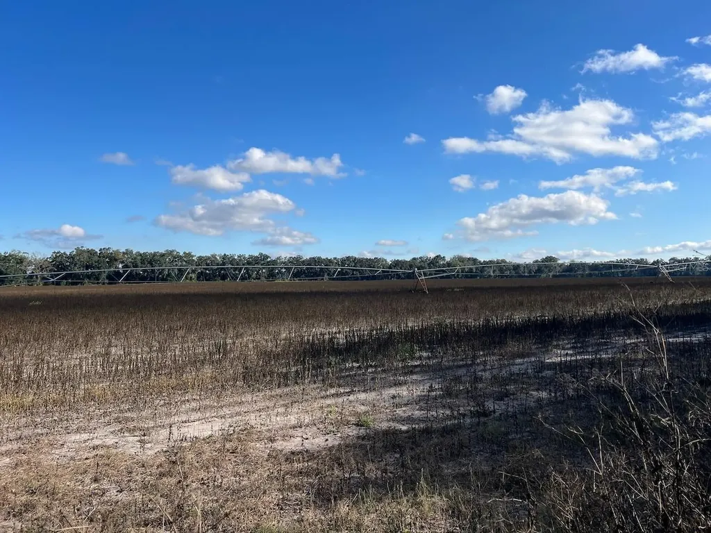 NE 150 Street Trenton FL 32693