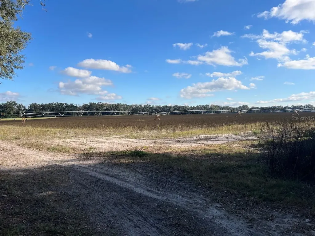 NE 150 Street Trenton FL 32693