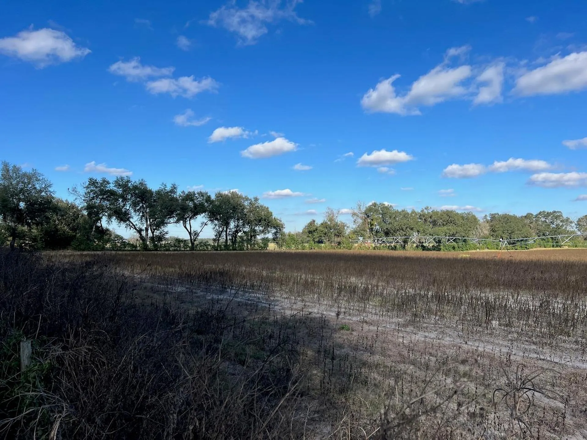 NE 150 Street Trenton FL 32693