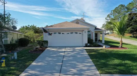 3021 Banyan Hill Lane Land O Lakes FL 34639
