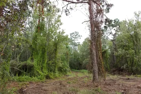 34254 NW 21st Avenue Okeechobee FL 34972