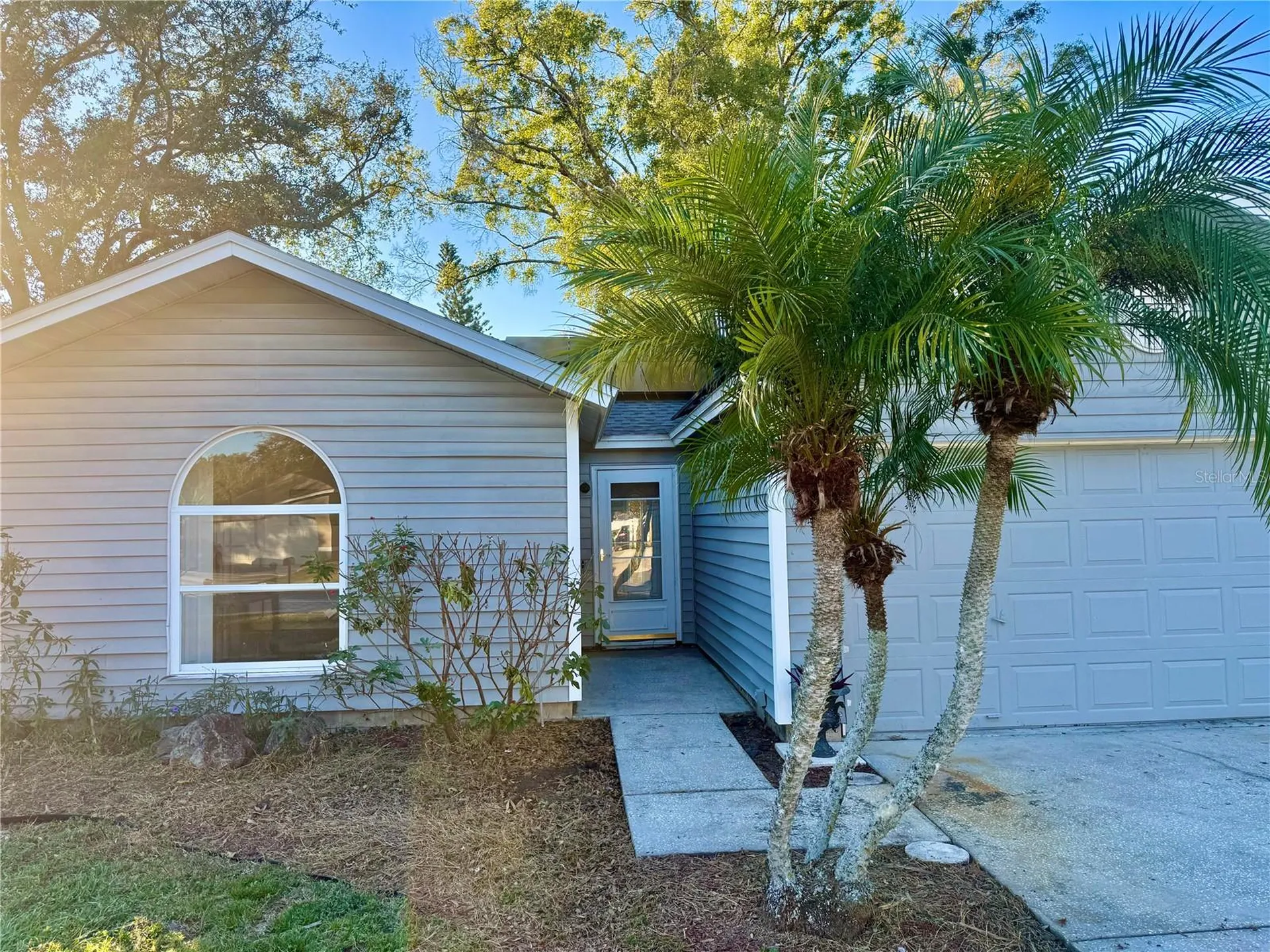 2635 Glenview Drive Land O Lakes FL 34639