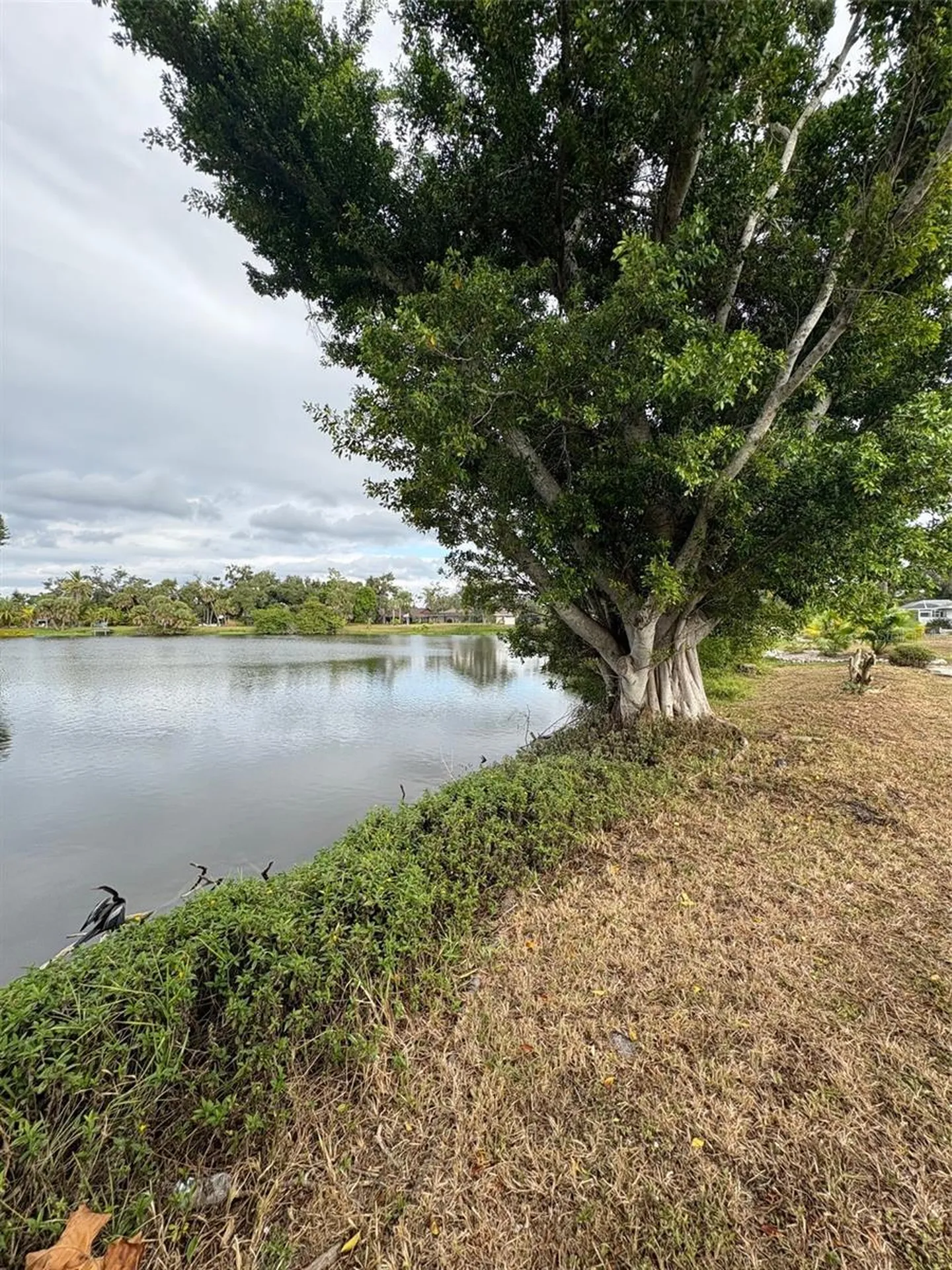 947 Shasta Road Venice FL 34293