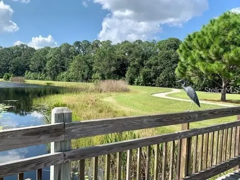 3211 Dark Sky Drive Harmony FL 34773