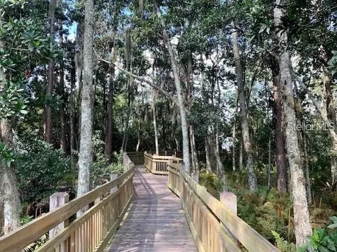 3211 Dark Sky Drive Harmony FL 34773