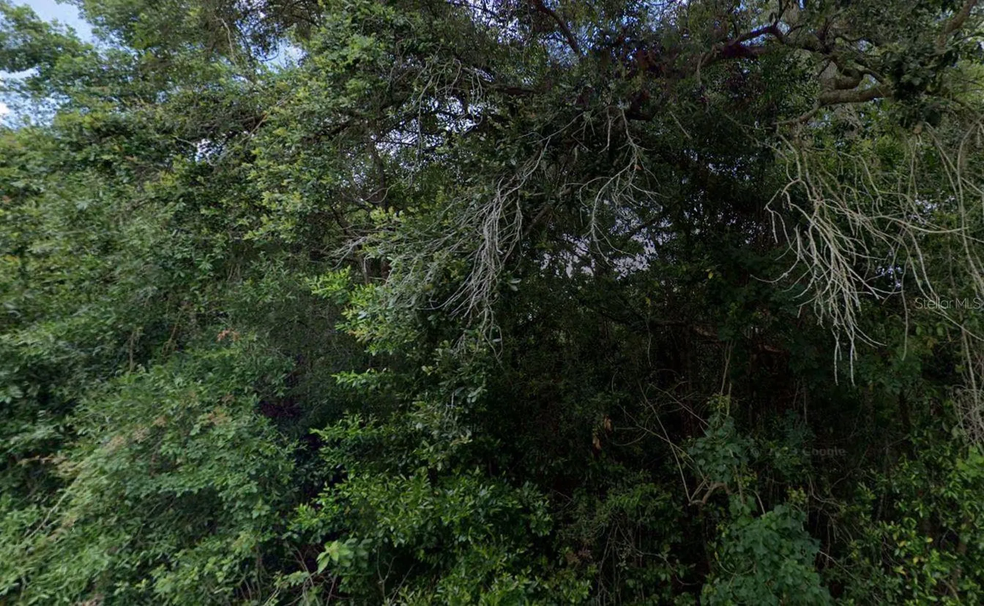 3288/3302 E Alisa Lane Inverness FL 34453
