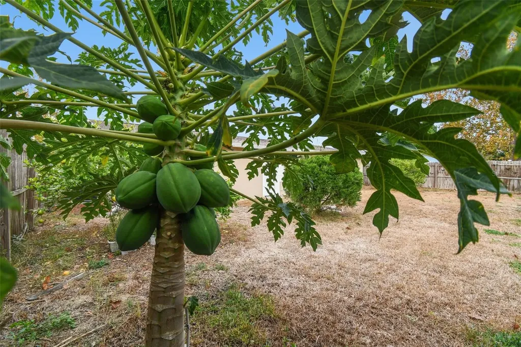 7810 Birchwood Drive Port Richey FL 34668