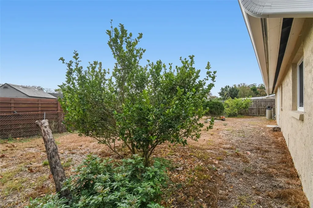 7810 Birchwood Drive Port Richey FL 34668