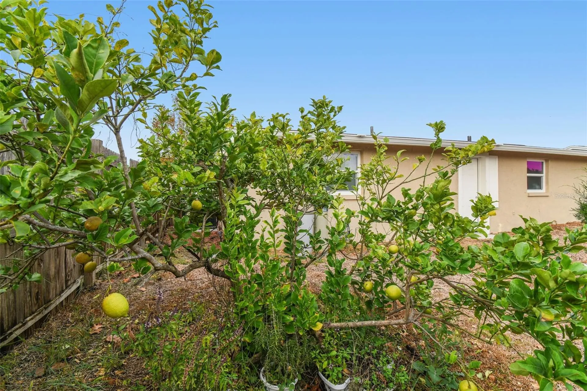 7810 Birchwood Drive Port Richey FL 34668