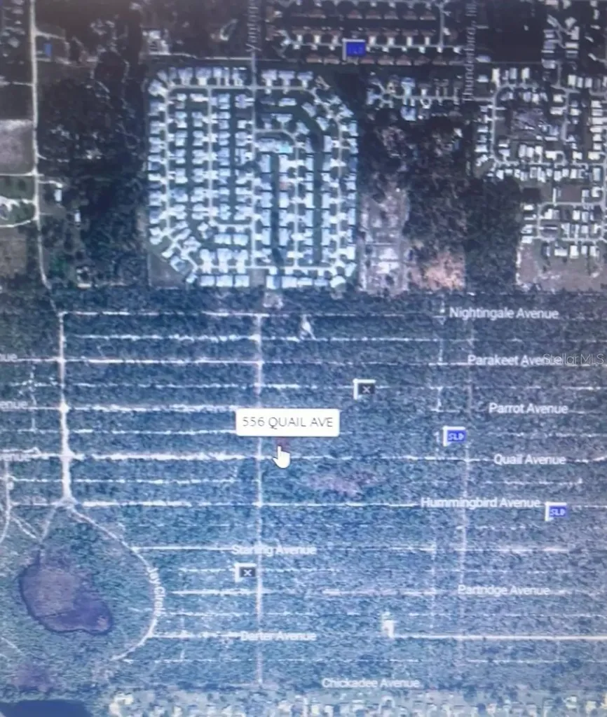 556 Quail Avenue Sebring FL 33870