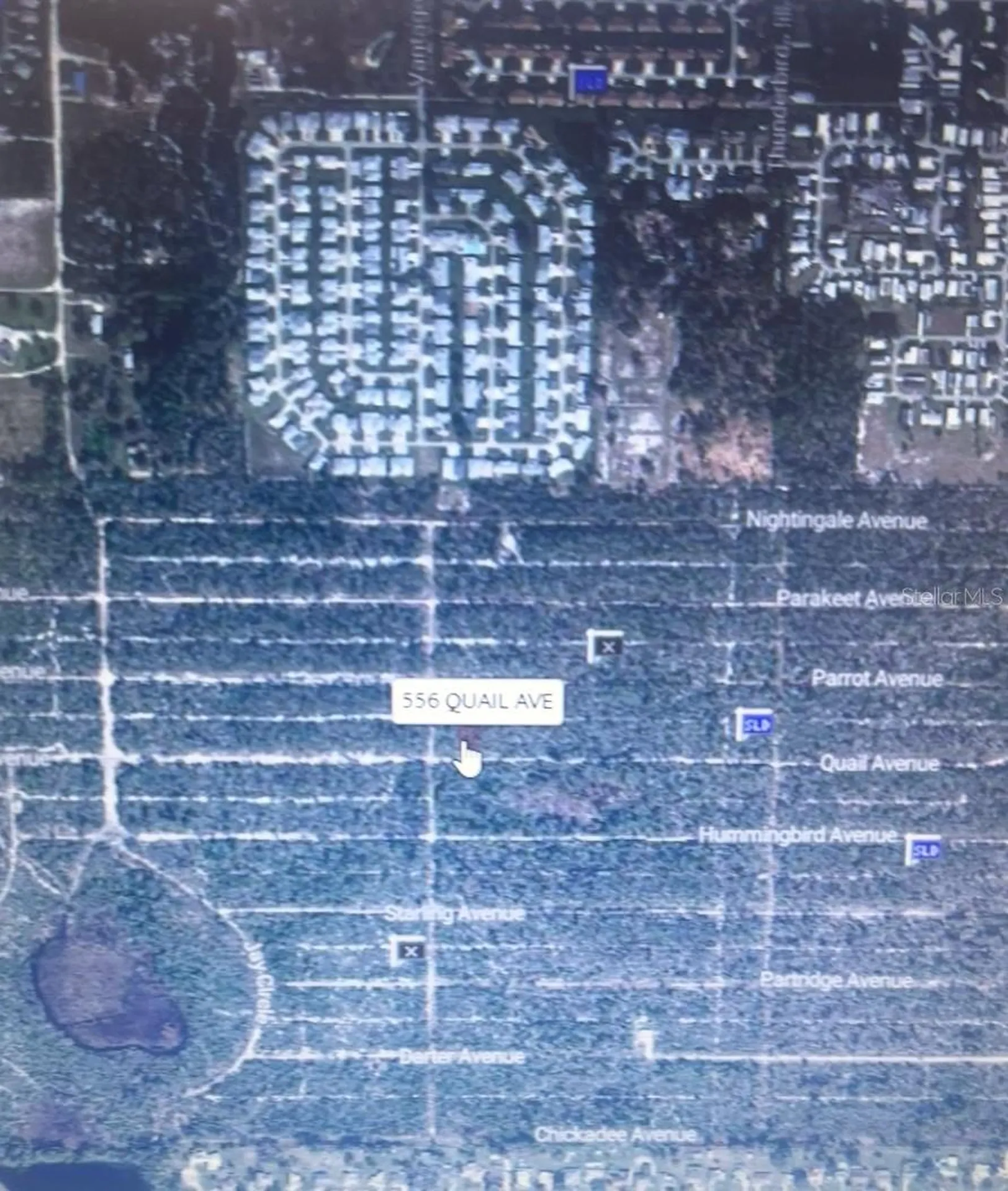 556 Quail Avenue Sebring FL 33870