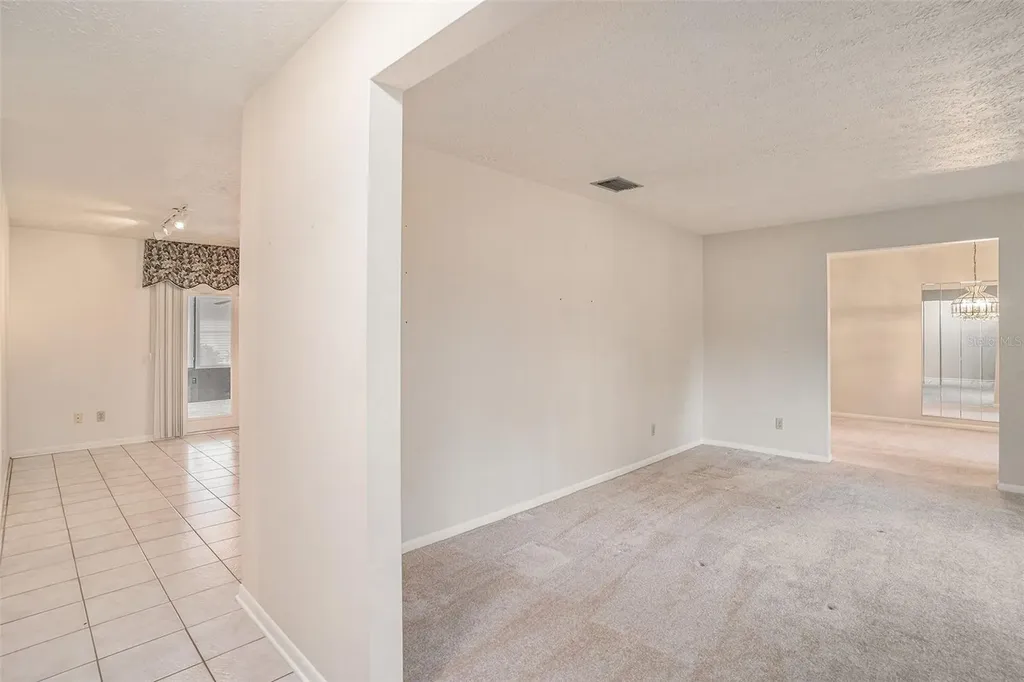 2110 Siloam Springs Drive Dover FL 33527