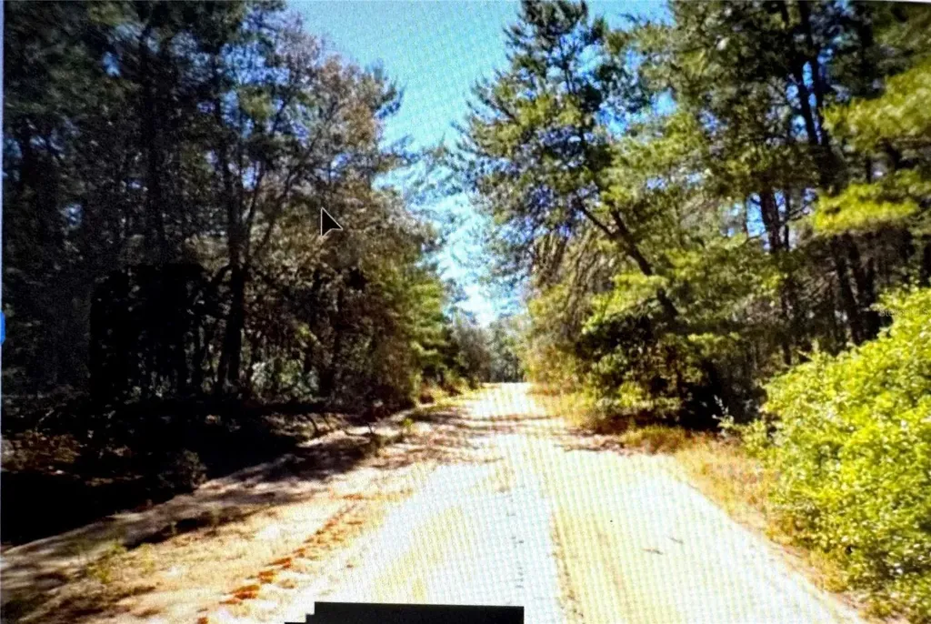 Old Bellamy Trail Melrose FL 32666