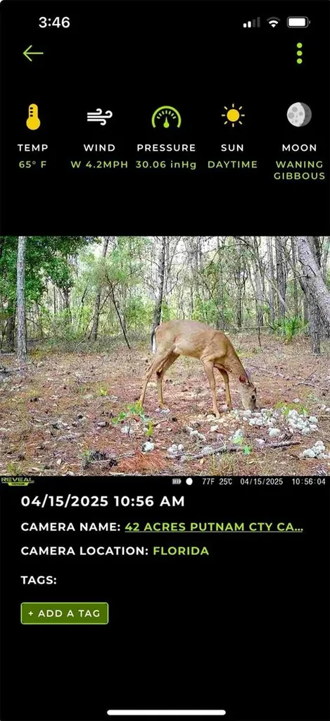 Old Bellamy Trail Melrose FL 32666