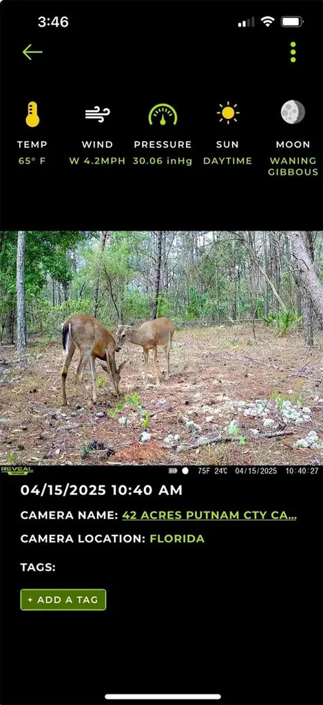 Old Bellamy Trail Melrose FL 32666