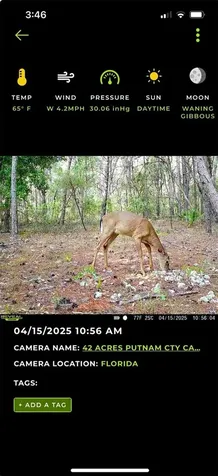 Old Bellamy Trail Melrose FL 32666