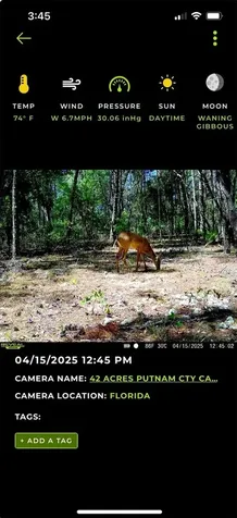 Old Bellamy Trail Melrose FL 32666