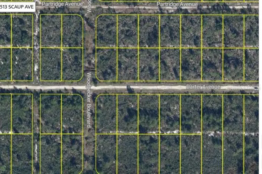 478 Darter Avenue Sebring FL 33870