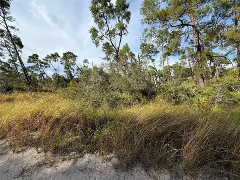 478 Darter Avenue Sebring FL 33870