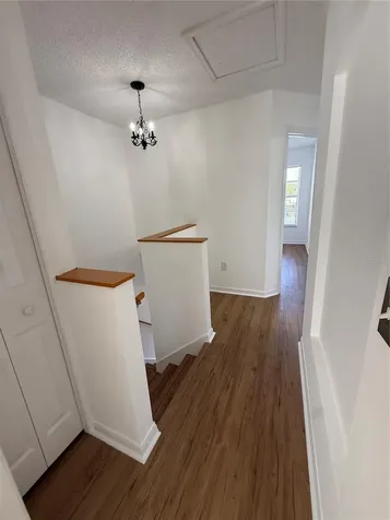 10110 Abington Place Tampa FL 33624