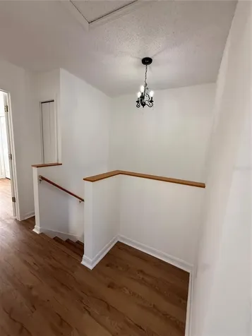 10110 Abington Place Tampa FL 33624