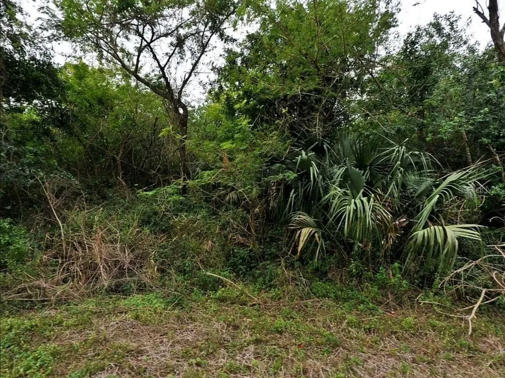 12 + 13 Caesar North Port FL 34288