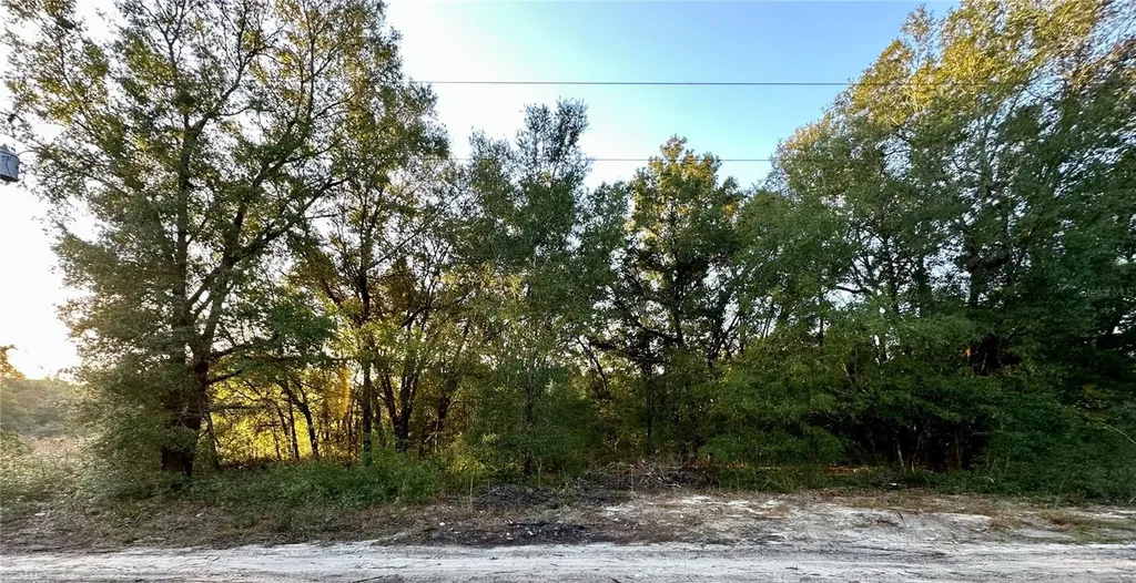 NW 16th Place Ocala FL 34482
