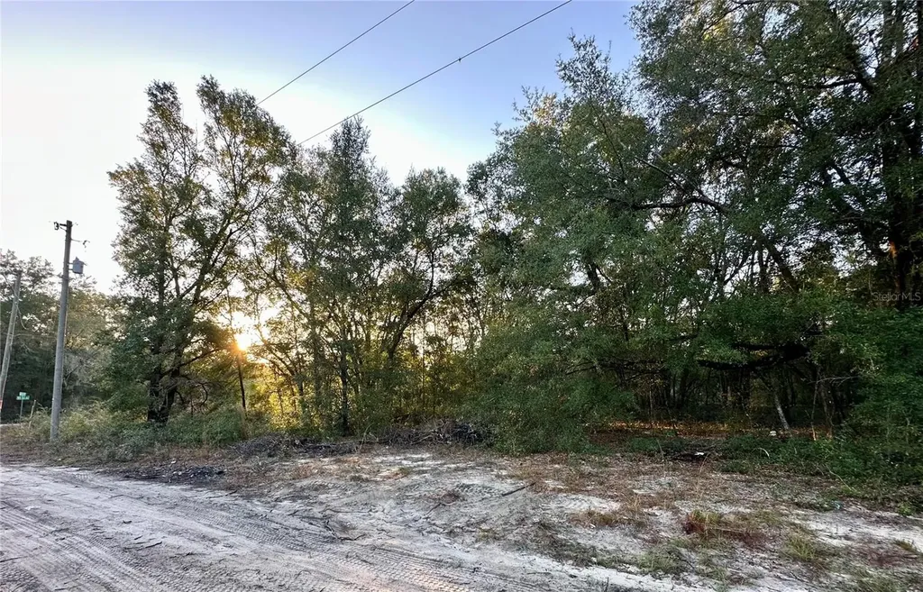NW 16th Place Ocala FL 34482