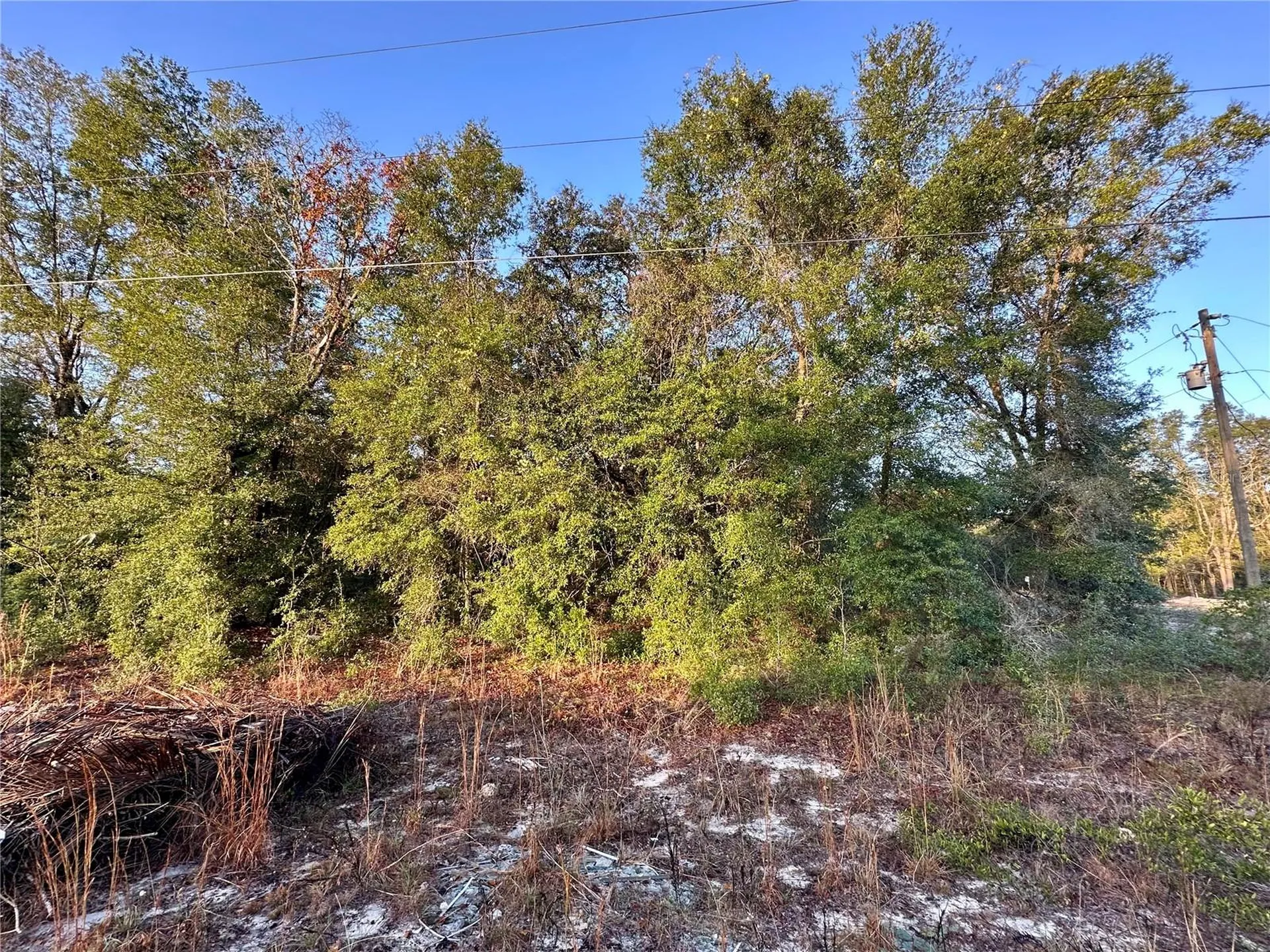 NW 16th Place Ocala FL 34482